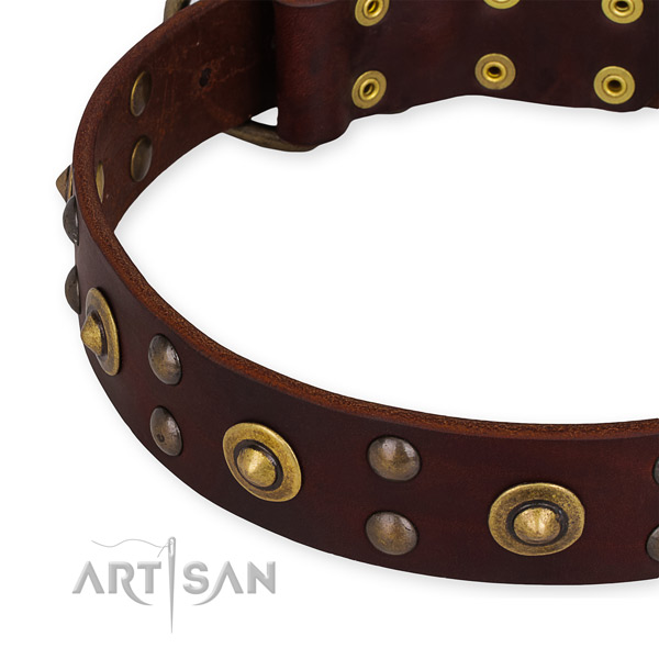 Genuine leather collar with strong buckle for your attractive doggie