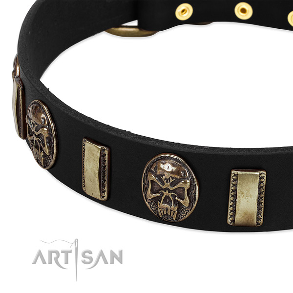 Reliable traditional buckle on leather dog collar for your four-legged friend