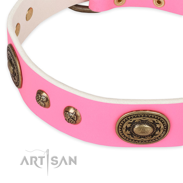 Incredible leather collar for your lovely four-legged friend