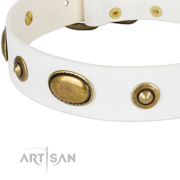 Rust-proof traditional buckle on genuine leather dog collar for your pet