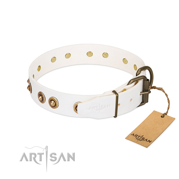 Reliable decorations on natural leather dog collar for your four-legged friend