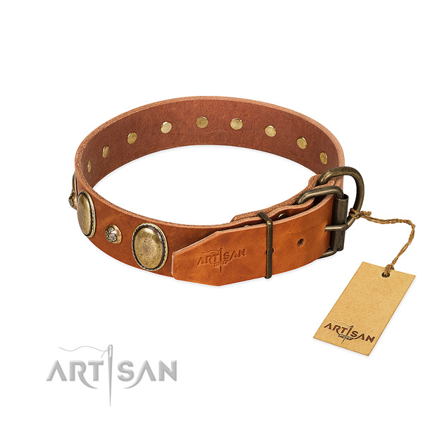 Corrosion proof buckle on full grain leather collar for stylish walking your canine