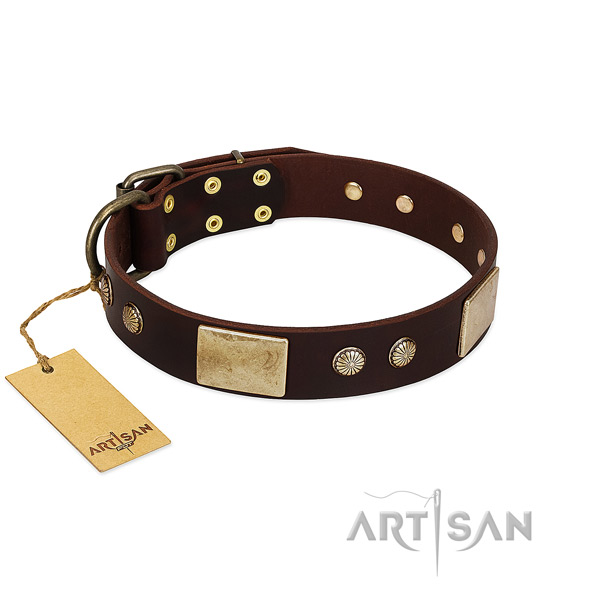 Adjustable genuine leather dog collar for walking your pet