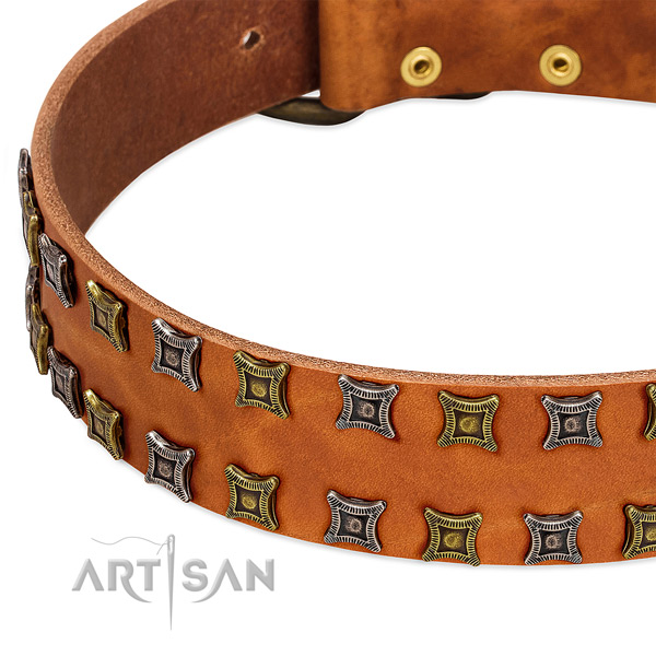 Soft full grain leather dog collar for your handsome dog