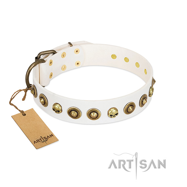 Full grain natural leather collar with unusual embellishments for your canine