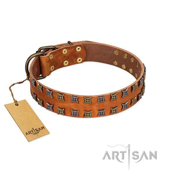 Gentle to touch genuine leather dog collar with adornments for your four-legged friend