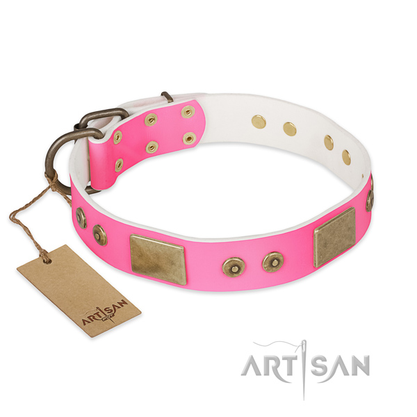 Exquisite genuine leather dog collar for everyday walking