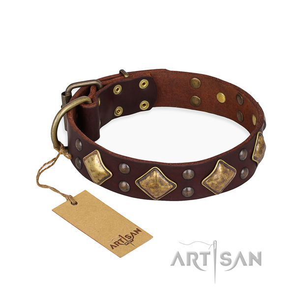 Walking unique dog collar with corrosion proof traditional buckle