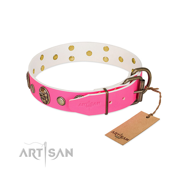 Rust-proof decorations on full grain natural leather dog collar for your four-legged friend
