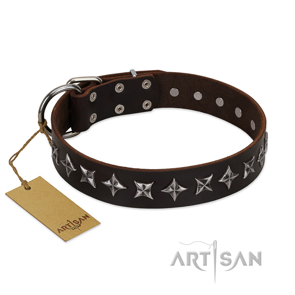 Handy use dog collar of top notch full grain genuine leather with embellishments