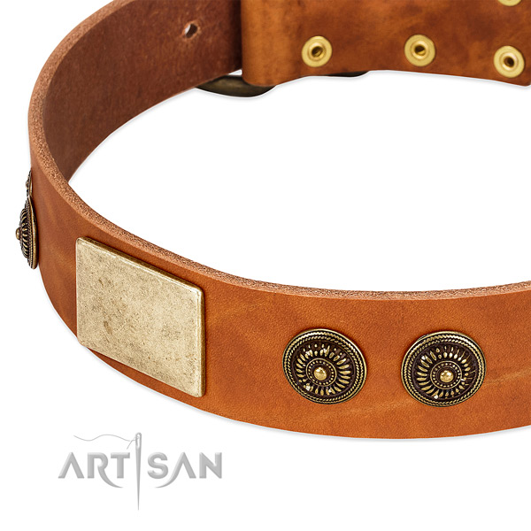 Unique dog collar made for your beautiful doggie