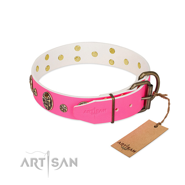 Rust resistant hardware on leather collar for walking your canine