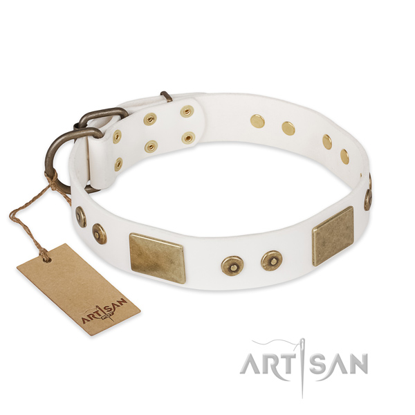 Unusual full grain natural leather dog collar for everyday walking