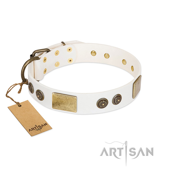 Stylish leather dog collar for everyday walking