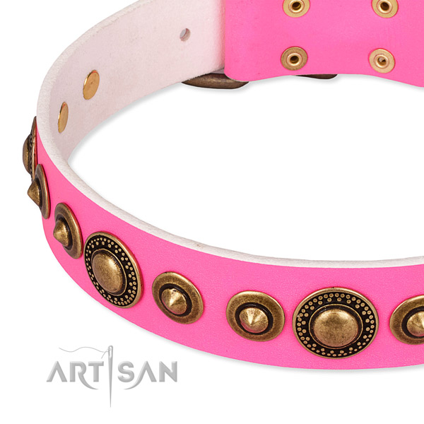 Top notch leather dog collar made for your handsome doggie