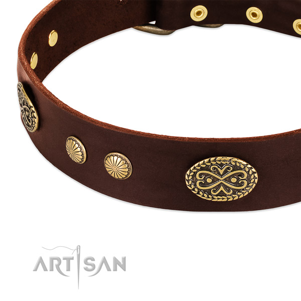 Rust resistant embellishments on genuine leather dog collar for your dog