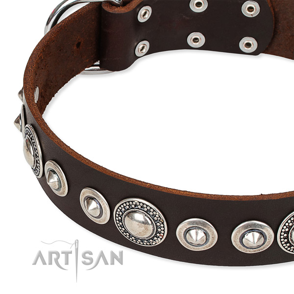 Comfy wearing embellished dog collar of durable full grain leather