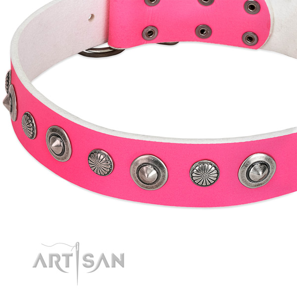 Leather collar with corrosion resistant hardware for your impressive four-legged friend