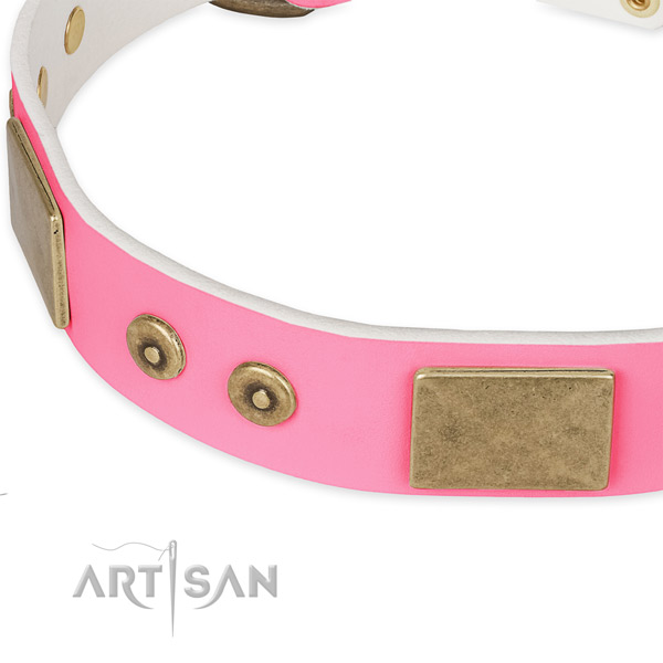 Full grain leather dog collar with adornments for comfortable wearing
