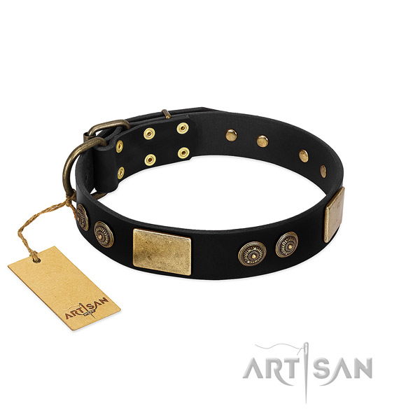 Rust-proof studs on genuine leather dog collar for your pet