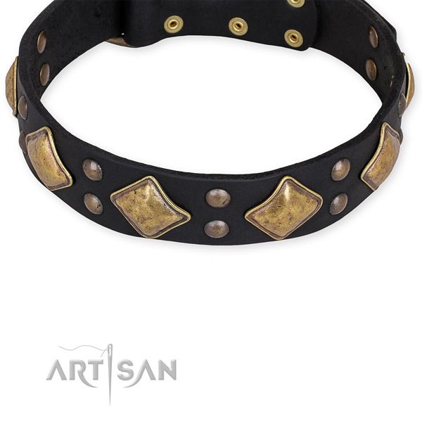 Leather dog collar with stylish design durable adornments