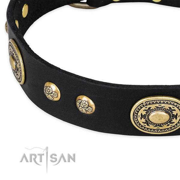 Studded genuine leather collar for your attractive doggie