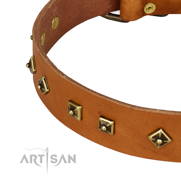 Remarkable full grain natural leather collar for your attractive dog
