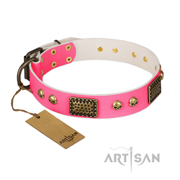Easy to adjust full grain leather dog collar for walking your doggie