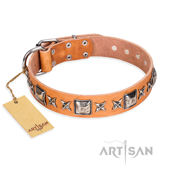 Comfortable wearing dog collar of high quality full grain leather with studs