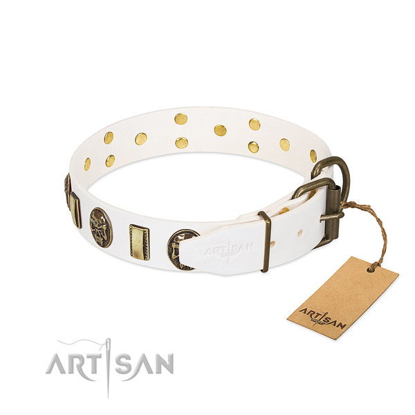 Strong hardware on leather collar for daily walking your four-legged friend