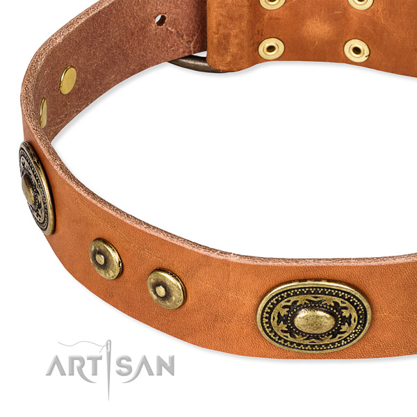 Full grain leather dog collar made of best quality material with decorations