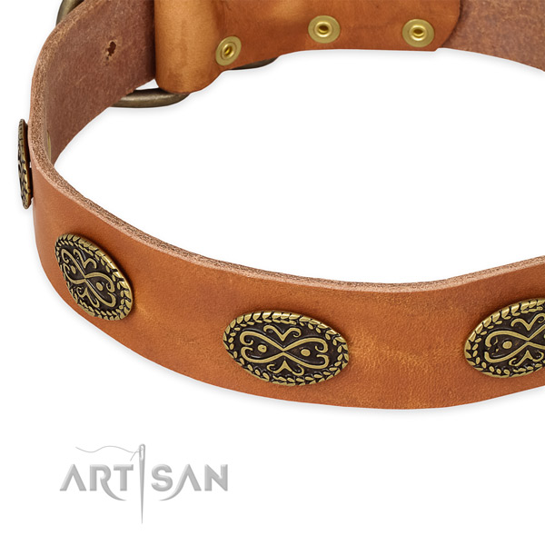 Adorned leather collar for your handsome four-legged friend