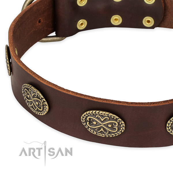 Comfortable genuine leather collar for your handsome pet