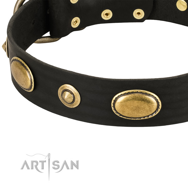 Strong studs on full grain genuine leather dog collar for your canine