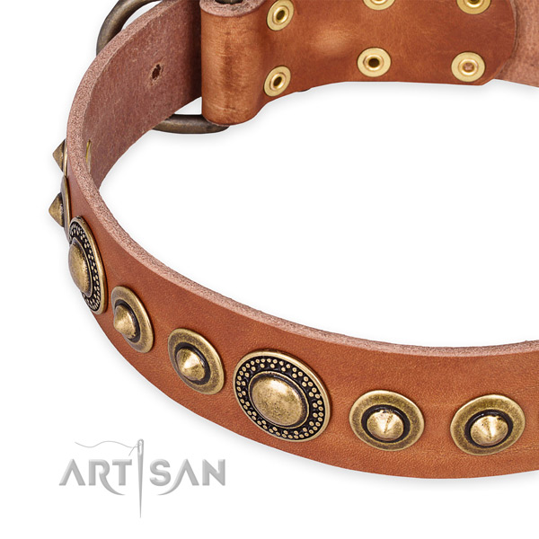 Best quality full grain genuine leather dog collar created for your handsome canine