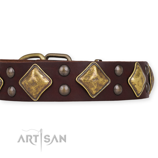Genuine leather collar with corrosion proof traditional buckle for your handsome four-legged friend