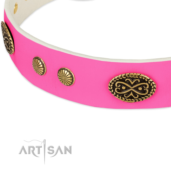 Corrosion resistant adornments on full grain genuine leather dog collar for your doggie