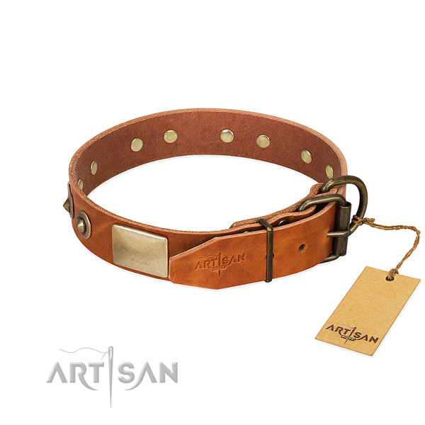 Corrosion proof decorations on stylish walking dog collar