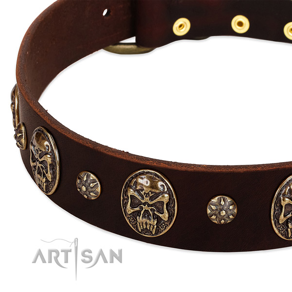 Durable embellishments on full grain genuine leather dog collar for your dog
