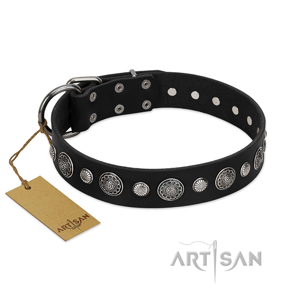 Fine quality full grain leather dog collar with unique embellishments