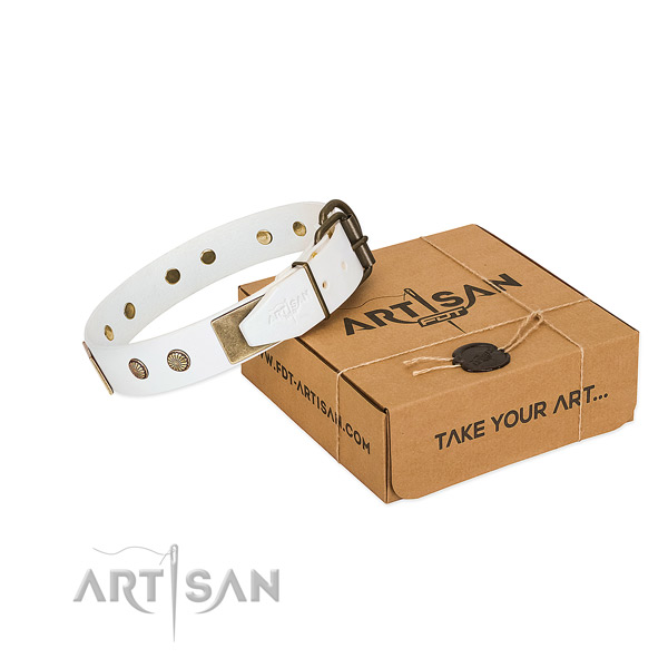 Rust-proof hardware on dog collar for walking