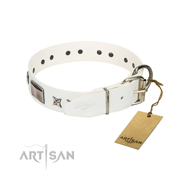 Exquisite collar of full grain leather for your lovely dog