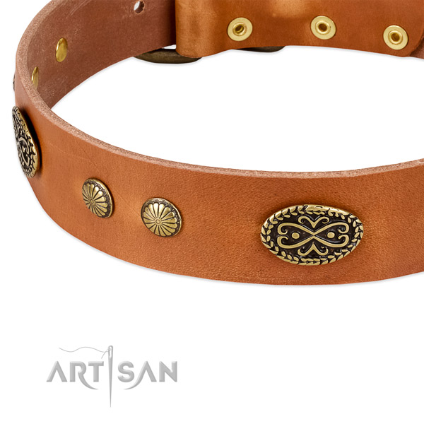 Rust-proof buckle on leather dog collar for your canine