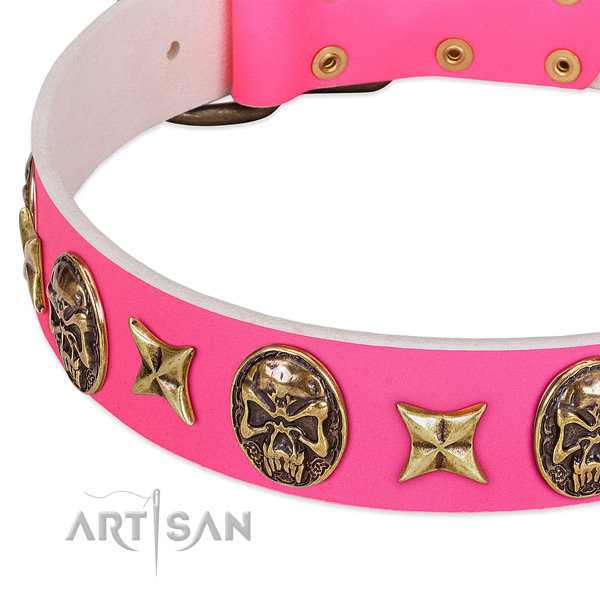 Natural leather dog collar with exceptional decorations