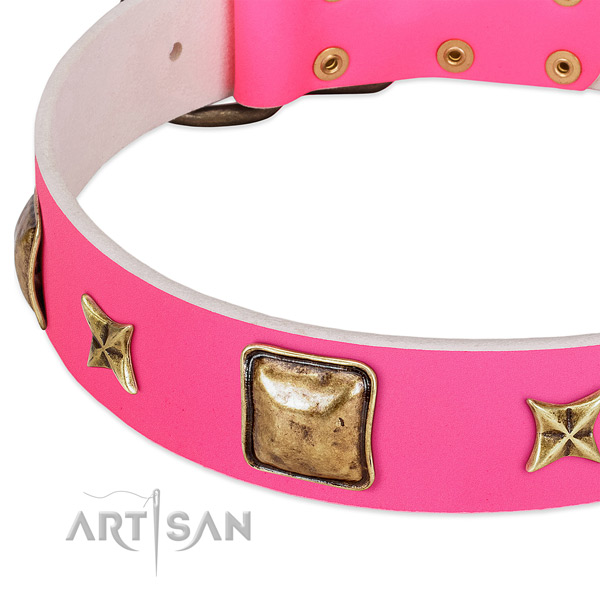 Full grain genuine leather dog collar with awesome embellishments