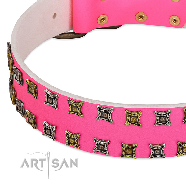 Full grain leather dog collar with decorations for your lovely four-legged friend