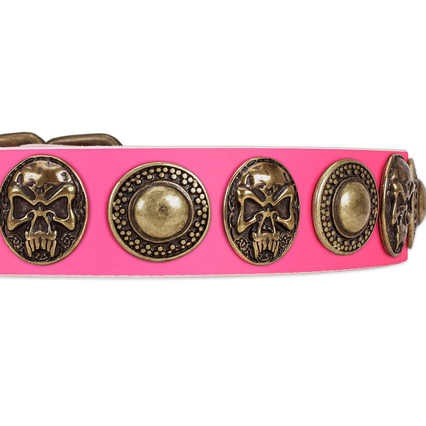 Rust-proof fittings on genuine leather dog collar for your four-legged friend