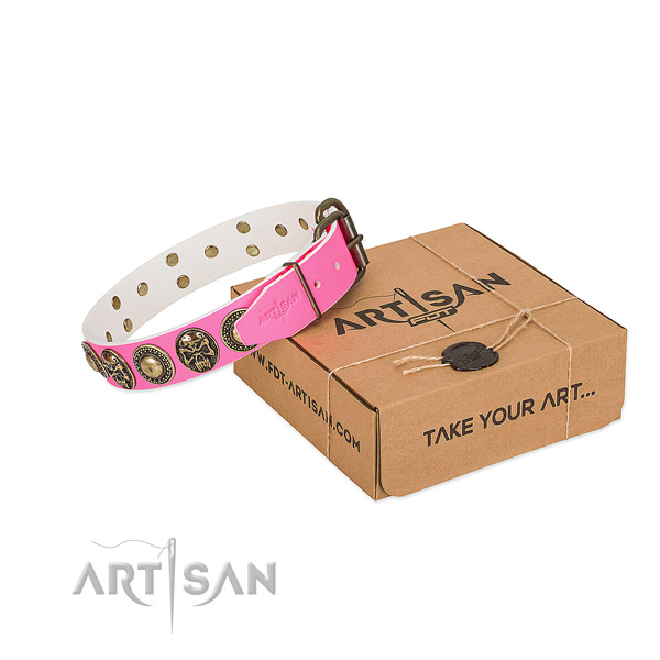 Rust-proof hardware on dog collar for daily use