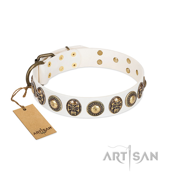 Easy adjustable full grain natural leather dog collar for stylish walking your canine
