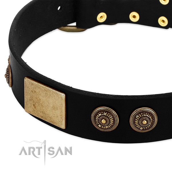 Corrosion resistant adornments on natural leather dog collar for your doggie